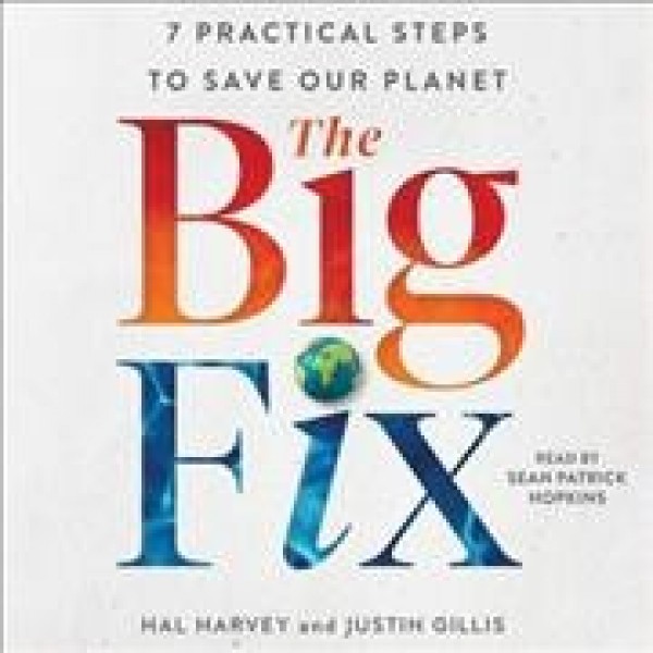Big Fix: Seven Practical Steps to Save Our Planet Unabridged edition