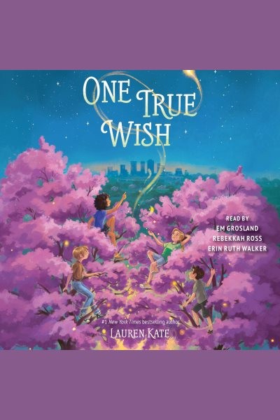 One True Wish