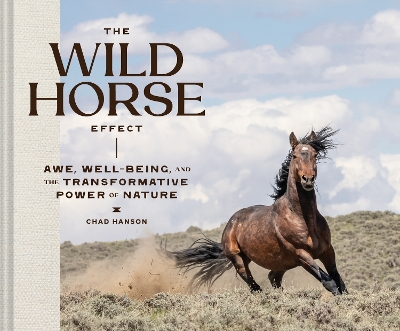 Wild Horse Effect: Awe, Well-Being, and the Transformative Power of Nature