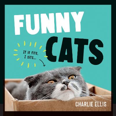 Funny Cats: A Hilarious Collection of the Worlds Funniest Felines and Most Relatable  Memes