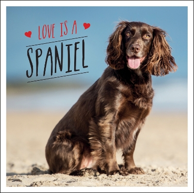 Love is a Spaniel: A Dog-Tastic Celebration of the World s Most Lovable Breed