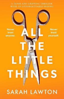 All The Little Things: A tense and gripping thriller with an unforgettable ending