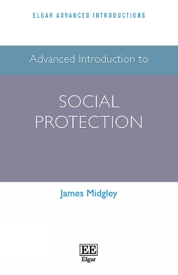 Advanced Introduction to Social Protection
