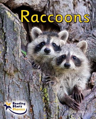 Raccoons: Phase 4