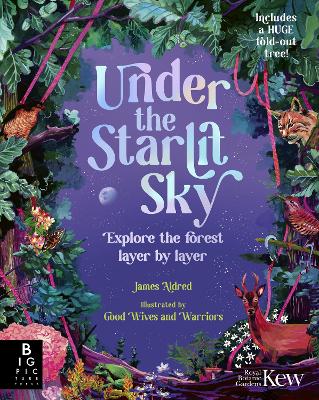 Under the Starlit Sky: Explore the Forest Layer By Layer