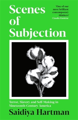 Scenes of Subjection: Terror, Slavery and Self-Making in Nineteenth Century America Main