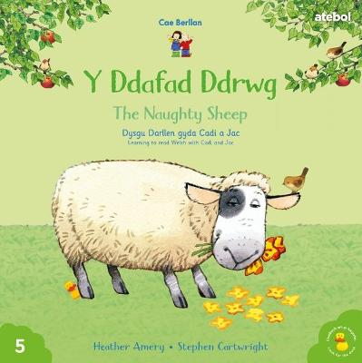 Cyfres Cae Berllan: Y Ddafad Ddrwg / The Naughty Sheep Bilingual edition