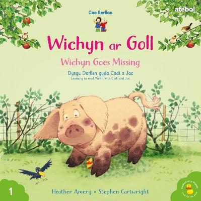 Cyfres Cae Berllan: Wichyn ar Goll / Wichyn Goes Missing Bilingual edition