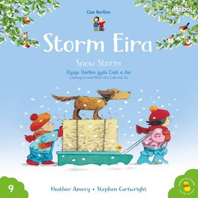 Cyfres Cae Berllan: Storm Eira / Snow Storm Bilingual edition