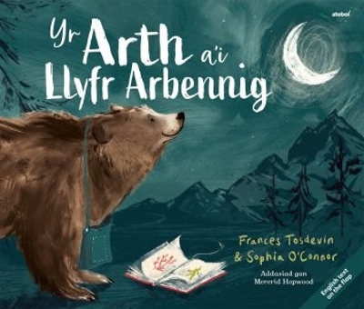 Yr Arth a'i Llyfr Arbennig / The Bear and her Book Bilingual edition