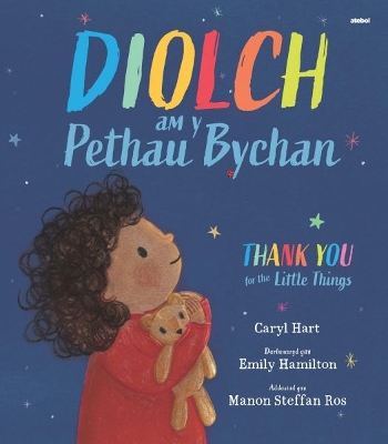 Diolch am y Pethau Bychan / Thank you for the Little Things Bilingual edition