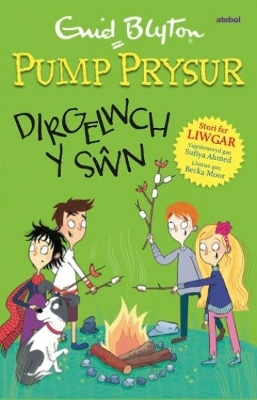 Pump Prysur: Dirgelwch y Sn