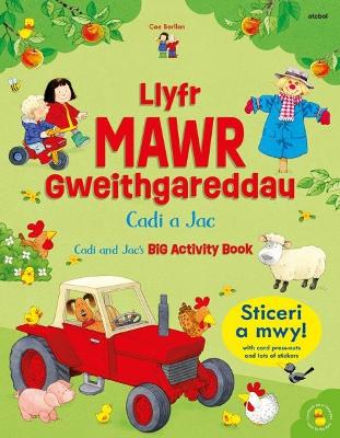 Llyfr Mawr Gweithgareddau Cadi a Jac / Cadi and Jac's Big Activity Book Bilingual edition