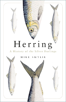 Herring