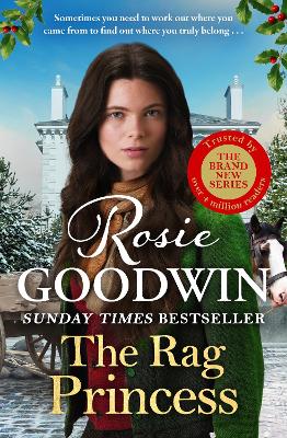 Rag Princess: The first book in the brand-new Rags to Riches trilogy from Britain's  best-loved saga author