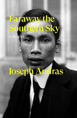 Faraway the Southern Sky: A Novel