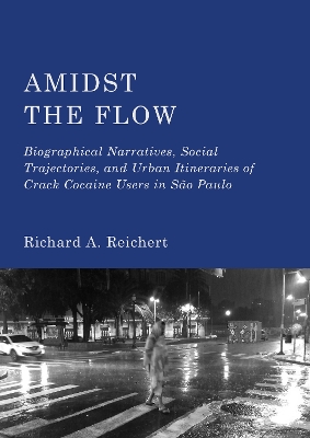 Amidst the Flow: Biographical Narratives, Social Trajectories, and Urban Itineraries of Crack  Cocaine Users in S o Paulo New edition