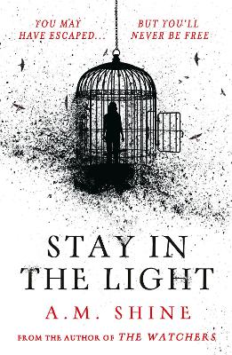 Stay in the Light: the chilling sequel to hit horror novel THE WATCHERS
