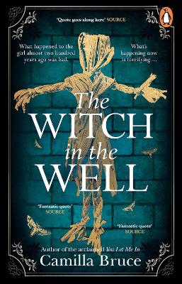 Witch in the Well: A deliciously disturbing Gothic tale of a revenge reaching out across the   years
