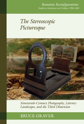 Stereoscopic Picturesque: Nineteenth-Century Photography, Literary Landscapes, and the Third Dimension