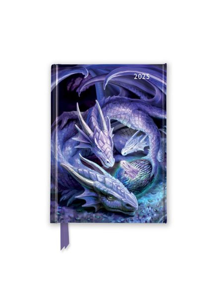 Anne Stokes: Welcome Hatchling 2025 Luxury Pocket Diary Planner - Week to View New edition