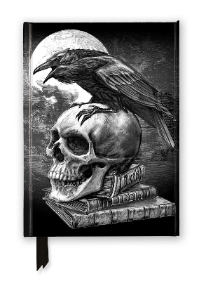 Alchemy: Poes Raven (Foiled Journal)