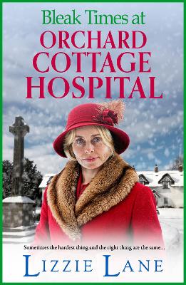 Bleak Times at Orchard Cottage Hospital: The BRAND NEW instalment in Lizzie Lane's heartbeaking saga series for 2025 Large type / large print edition