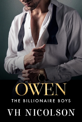 Owen: A strangers to lovers, unforgettable, steamy romance from VH Nicolson