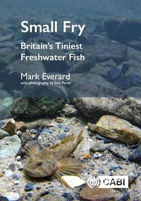Small Fry: Britain's Tiniest Freshwater Fish