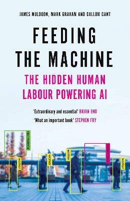 Feeding the Machine: The Hidden Human Labour Powering AI Main