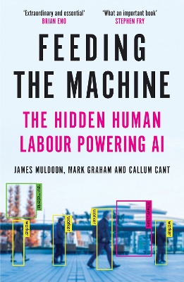 Feeding the Machine: The Hidden Human Labour Powering AI Main