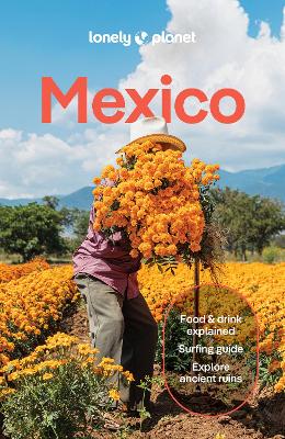 Lonely Planet Mexico 19th edition