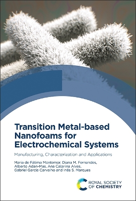 Transition Metal-based Nanofoams for Electrochemical Systems: Manufacturing, Characterization and Applications