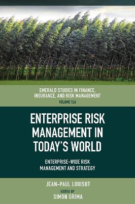 Enterprise Risk Management in Todays World: Enterprise-Wide Risk Management and Strategy