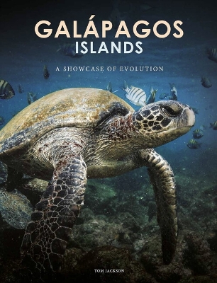 Galapagos Islands: A Showcase of Evolution