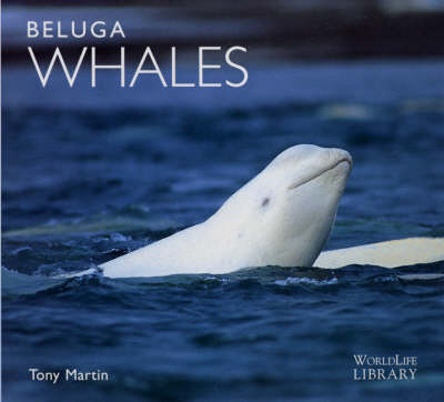 Beluga Whales 2nd Revised edition