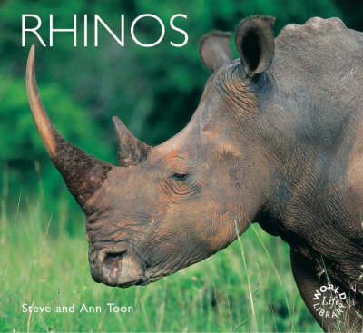 Rhinos
