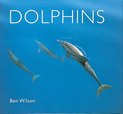 Dolphins New edition