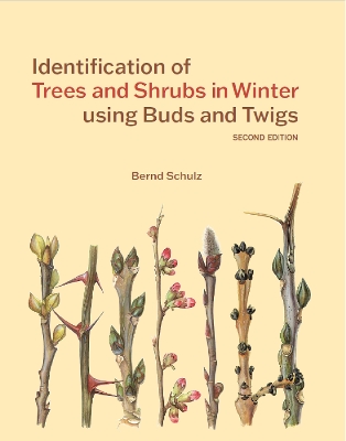 Identification of Trees and Shrubs in Winter using Buds and Twigs New edition