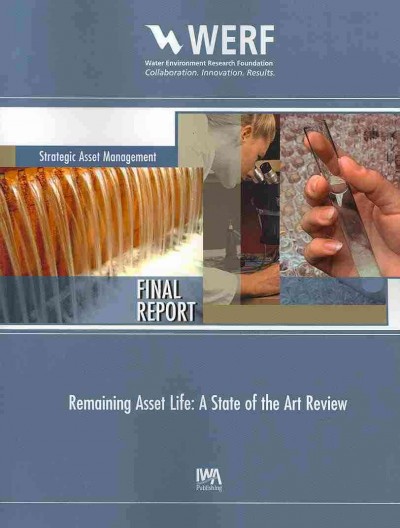 Remaining Asset Life: A State of the Art Review