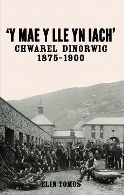 'Y Mae y Lle yn Iach' - Chwarel Dinorwig 1875-1900: Chwarel Dinorwig 1875-1900