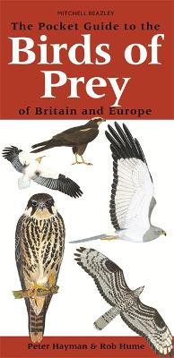 Pocket Guide to Birds of Prey of Britain and Europe