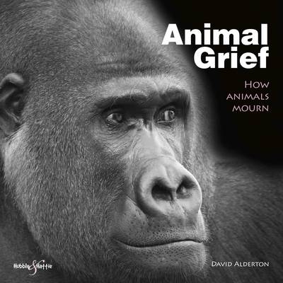 Animal Grief: How animals mourn