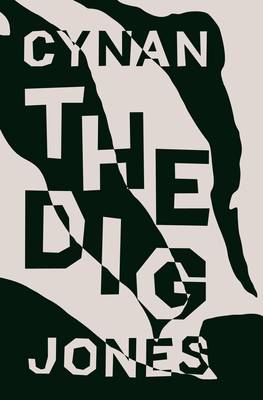 Dig