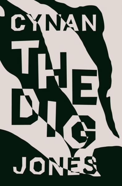 Dig