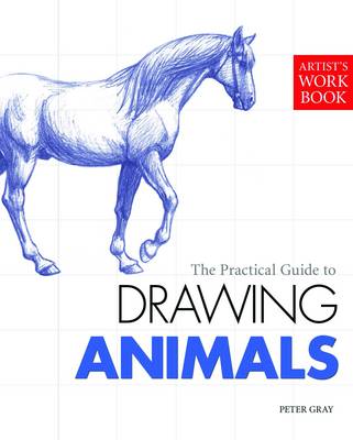 Drawing Animals