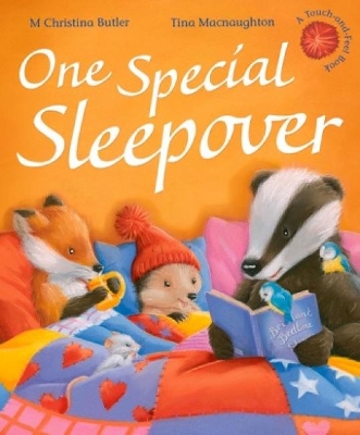 One Special Sleepover UK ed.