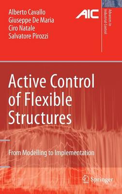 Active Control of Flexible Structures: From Modeling to Implementation