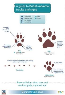 Guide to British Mammal Tracks and Signs
