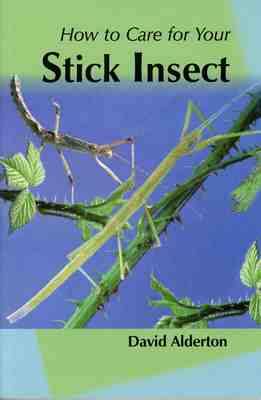 How to Care for Your Stick Insect New edition